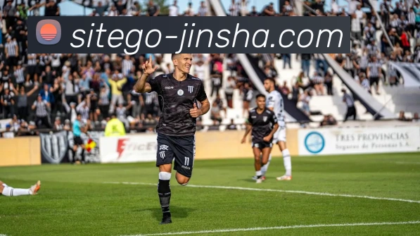 澳门金沙官网平台生态图